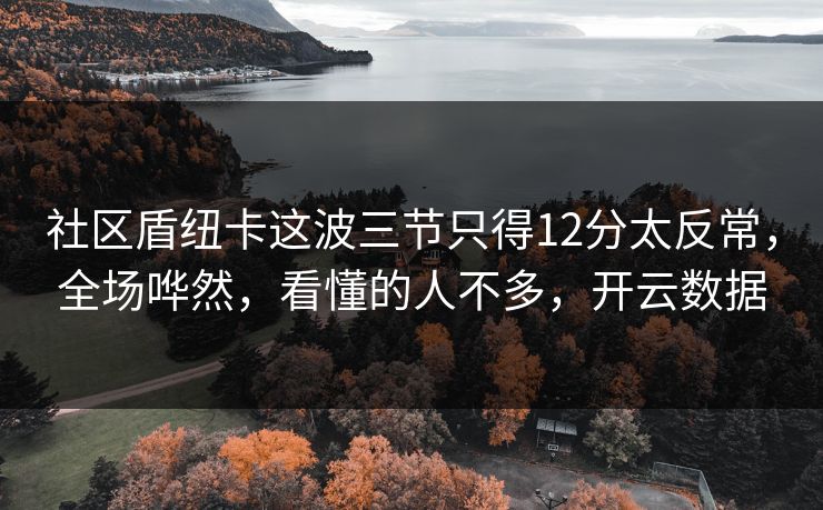 社区盾纽卡这波三节只得12分太反常，全场哗然，看懂的人不多，开云数据