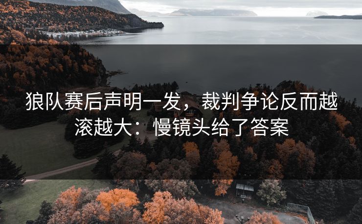 狼队赛后声明一发，裁判争论反而越滚越大：慢镜头给了答案