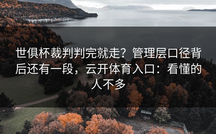 世俱杯裁判判完就走？管理层口径背后还有一段，云开体育入口：看懂的人不多