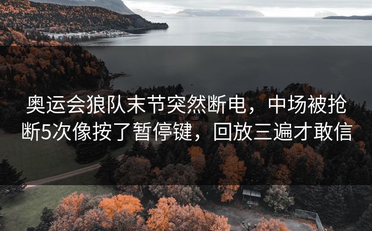 奥运会狼队末节突然断电，中场被抢断5次像按了暂停键，回放三遍才敢信