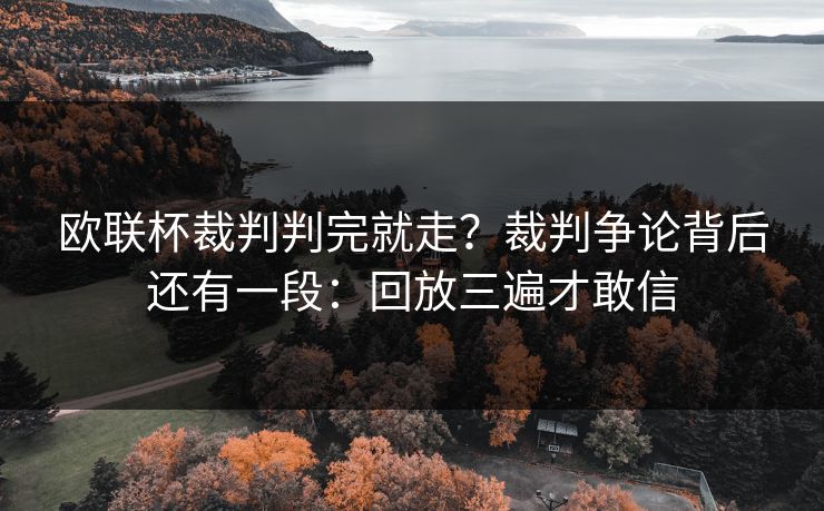 欧联杯裁判判完就走?裁判争论背后还有一段:回放三遍才敢信