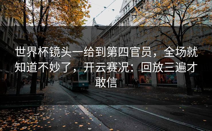 世界杯镜头一给到第四官员,全场就知道不妙了,开云赛况:回放三遍才敢信
